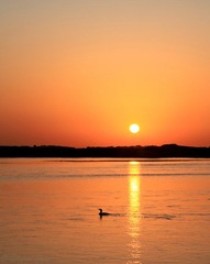IMG_2702.jpg
