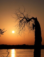 IMG_2729.jpg