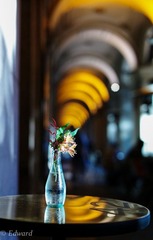 L1000518.jpg
