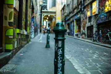 L1000574.jpg
