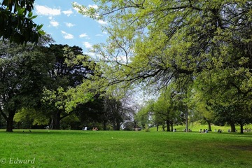 L1000637.jpg