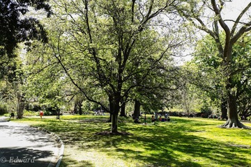 L1000648.jpg
