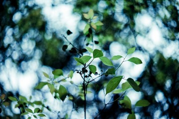 L1002183.jpg