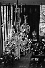 L1032682.jpg
