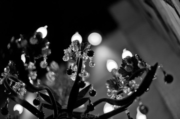 L1032691.jpg