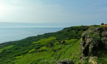 L1033391.jpg