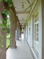 R0011379.jpg