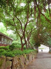 R0011522.jpg