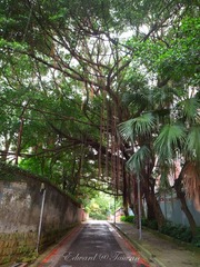 R0011532.jpg