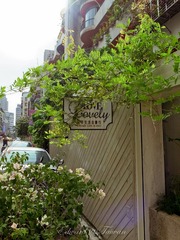 R0012255.jpg