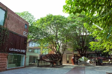 R0040266