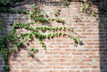 Scan-131031-0001