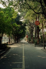 Scan-131031-0004