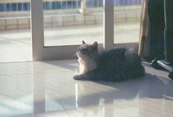 Scan-131031-0040