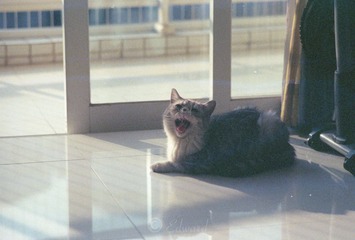 Scan-131101-0001