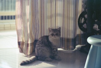 Scan-131101-0003