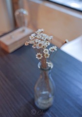 R0040519