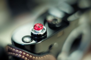 L1000878