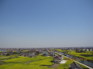  7  floor