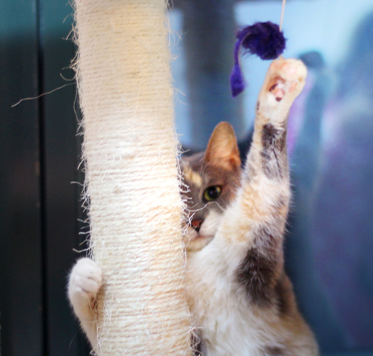 爱我的人请举手