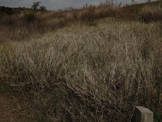 P1110240 01