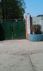IMAG0515