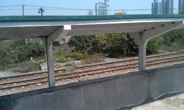 IMAG0523