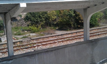 IMAG0524