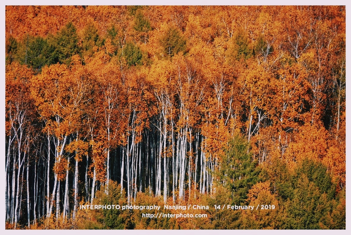 春夏秋冬四季轮回