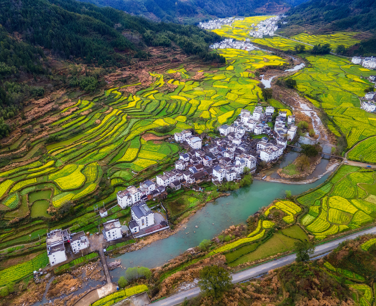 2021年江西婺源油菜花航拍