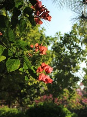 img_3616_副本.jpg