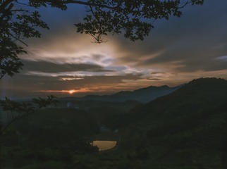 9898454