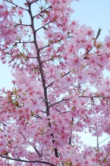 65B8C921-573B-43E4-A90D-1635E6DDAC04/L0/001