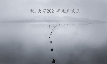 2590050