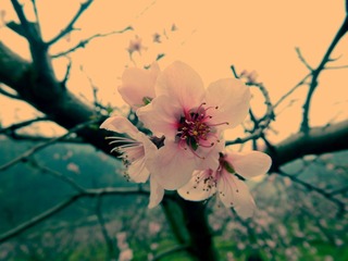 DSCN0188_
