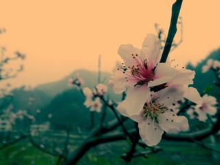 DSCN0173_