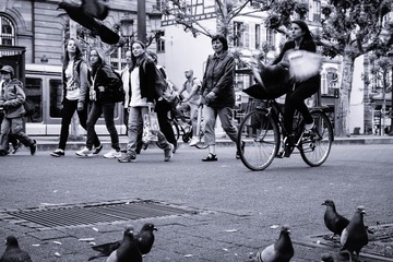 20130611-DSC01075