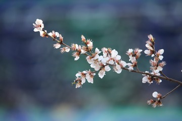 201551
