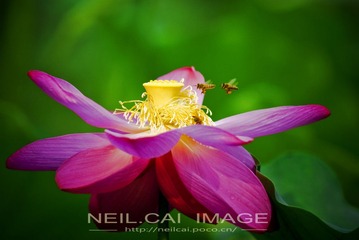 _DSC0024