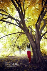 1月12日，Carlton Gardens，这悲喜交集的一年已经过去，新的一年来了，未来的旅行，我们尚未命名。