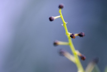 IMGP4845.jpg
