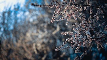 CEDD0AC4-8961-413B-B422-4C4D64AE135F/L0/001