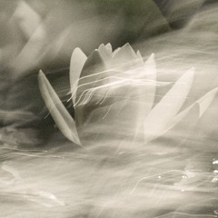 _DSC0360-1