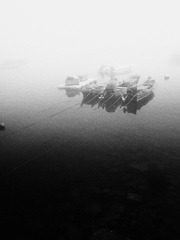 P6192852