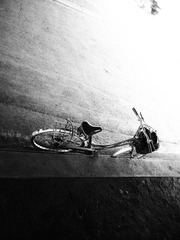 P7194534