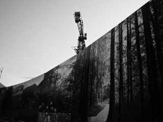 P7244932