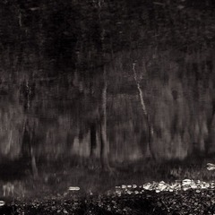 _DSC4200xiao.jpg