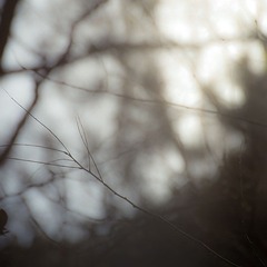 _DSC6848.jpg