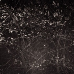 _DSC6864.jpg
