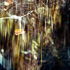 _DSC6882.jpg